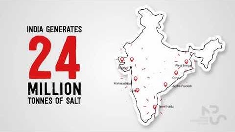 VBSoft - Salt MIS Explainer Animation
