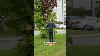Masz klona szczepionego? 🍁⚠️ Usuwaj dziczki!