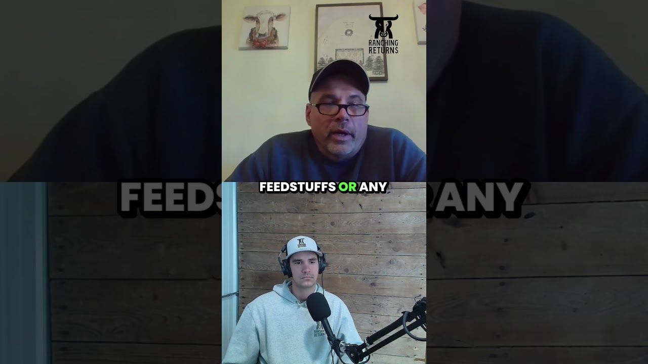 Episode 257 with Ted Miller discusses the Grazing Dairy Model #dairyfarm #grazingdairy #dairyfarmer