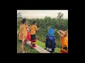 VICHO MANCING BARONGAN IKAN HIU