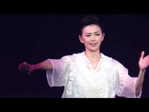 孫燕姿2014紅館演唱會-我也很想他live
