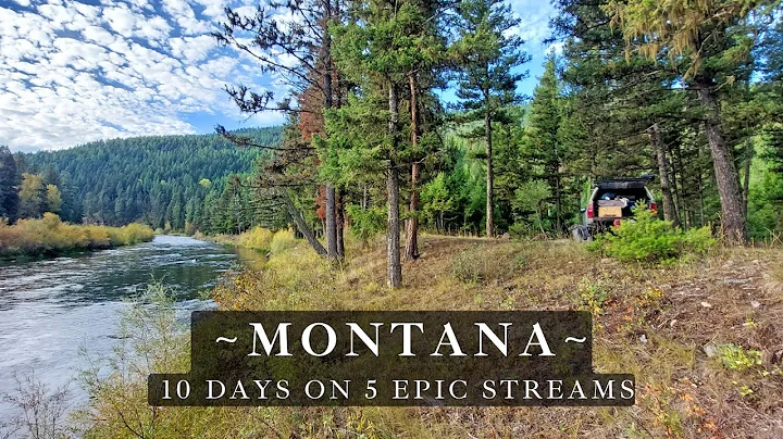 Fly Fishing Montana - 10 days of truck camping - 5 epic streams