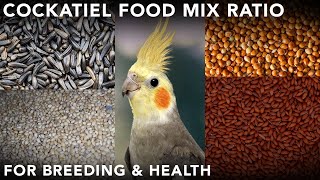 cockatiel breeding food in tamil | cockatiel seed mix for breeding (தமிழ்)