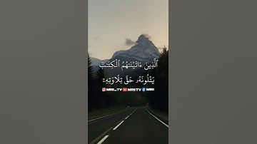 ماهر المعيقلي - سورة البقرة ( برواية حفص عن عاصم ) الأية 121