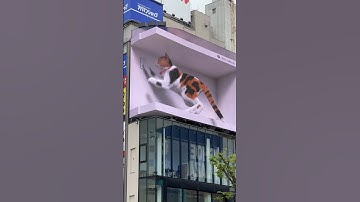 3D Billboard Shinjuku Tokyo featuring Cat Neko Kawaii