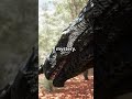 House of the Dragon's Deleted Character: The Story of Nettles