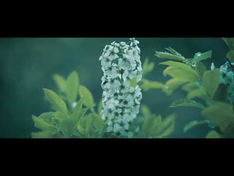 زوجي يغار من نجاحي كيف أتعامل معه ستدهشك الإجابة حقيقة لا تفوتك مشاهدة هذه الحلقة