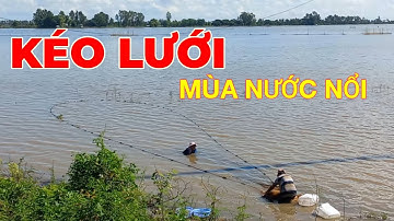 Kéo lưới mùa nước nổi ở Miền Tây