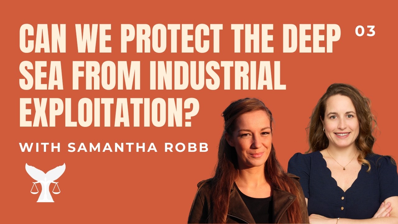 Can We Protect the Deep Sea from Industrial Exploitation? | With Samantha Robb