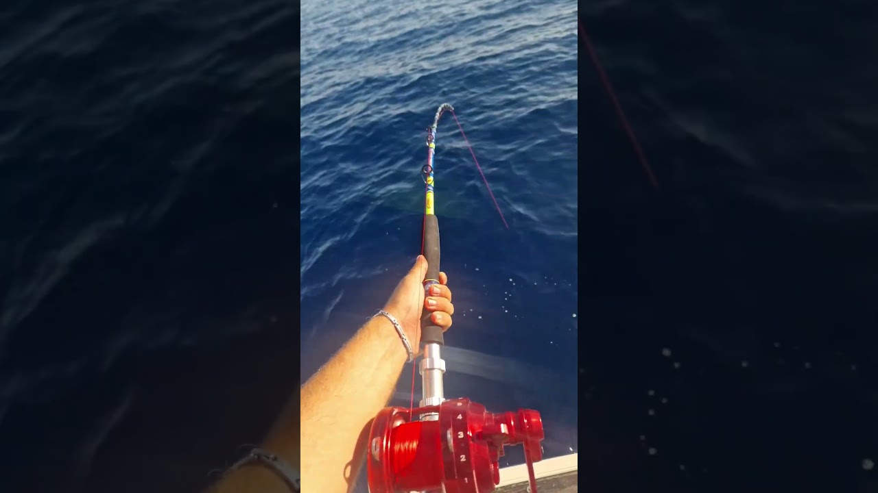 Partenza tonno su Mastfish+alutecnos 