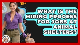 What Is the Hiring Process for Jobs at Animal Shelters? | Animal Care Jobs