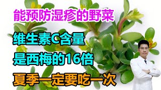 能预防湿疹的野菜，维生素C含量是西梅的16倍！夏季一定要吃一次 #李医生谈健康