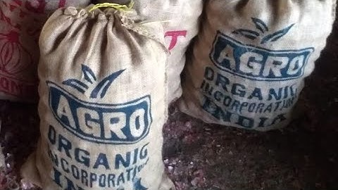 All rounder🌾 🌱 Agro Organic Incorporation also Exporting Onions 🌰🌰🌰