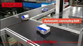 Automatic stripping machine rotary head DTCB-920T