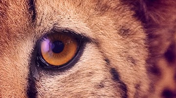 More Internet & unlimited calls with New Magic SIM™