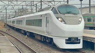 【651系リバイバル塗装車両‼︎】E657系K1編成(651系風塗装オマージュカラー車両)  回8126M  郡山総合車両センター出場回送  勝田行き  小金井駅通過