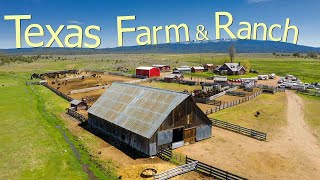 How Texas Farmers Are Running 247000 Farms And Ranches  Farming Documentary