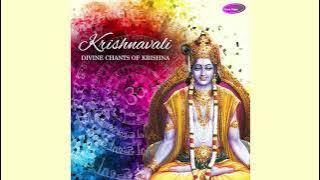 Govind Bolo Gopal Bolo - Pandit Sanjiv Abhyankar - Krishnavali -Divine Chants Of Krishna