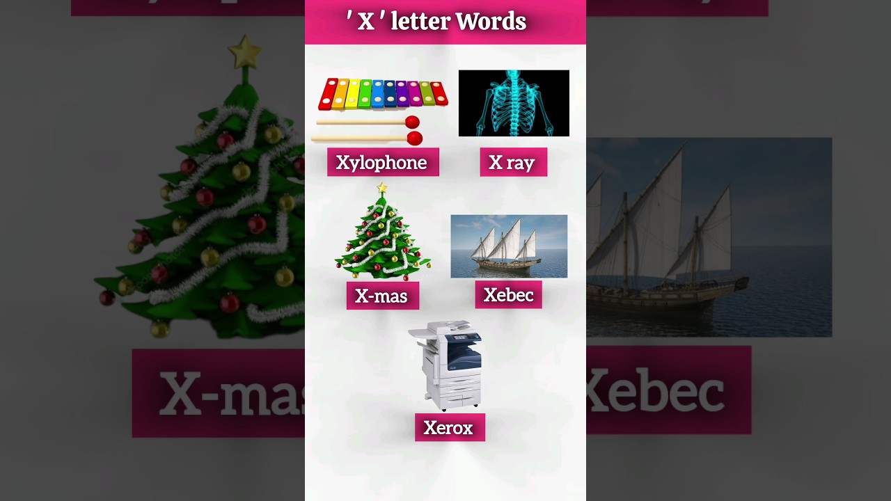 X letter words