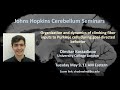 Dimitar Kostadinov: Organization of climbing fiber inputs to Purkinje cells during behavior