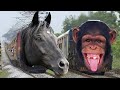Non-Stop High Speed Train videos| Indian railway videos