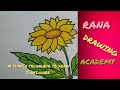 A simple technique to draw sunflower rana drawing academy