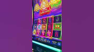 MAX BET on Mummy Moolah pays MASSIVE! #slots #casino #vegas