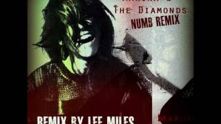 Marina & The Diamonds 'Numb' Remix By: Lee Miles