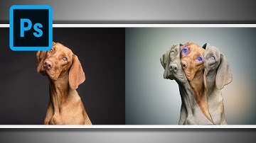 Inside Face Photo Effect In 10 Minute- (Photoshop Tutorial)