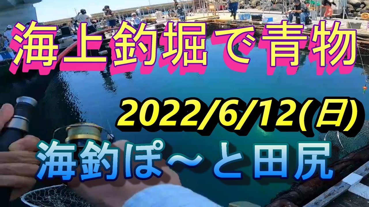 海上釣堀で青物 ふるさと納税で 海釣ぽ と田尻 に Youtube