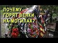 СГОРЕЛИ ВЕНКИ на могиле ЕВГЕНИЯ ОСИНА. ПОЧЕМУ?