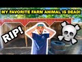 My FAVORITE Backyard FARM Animal is DEAD!!! (RIP) - Had To Call the VET