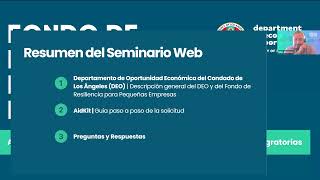 Spanish Informational Webinar - Small Business Resiliency Fund