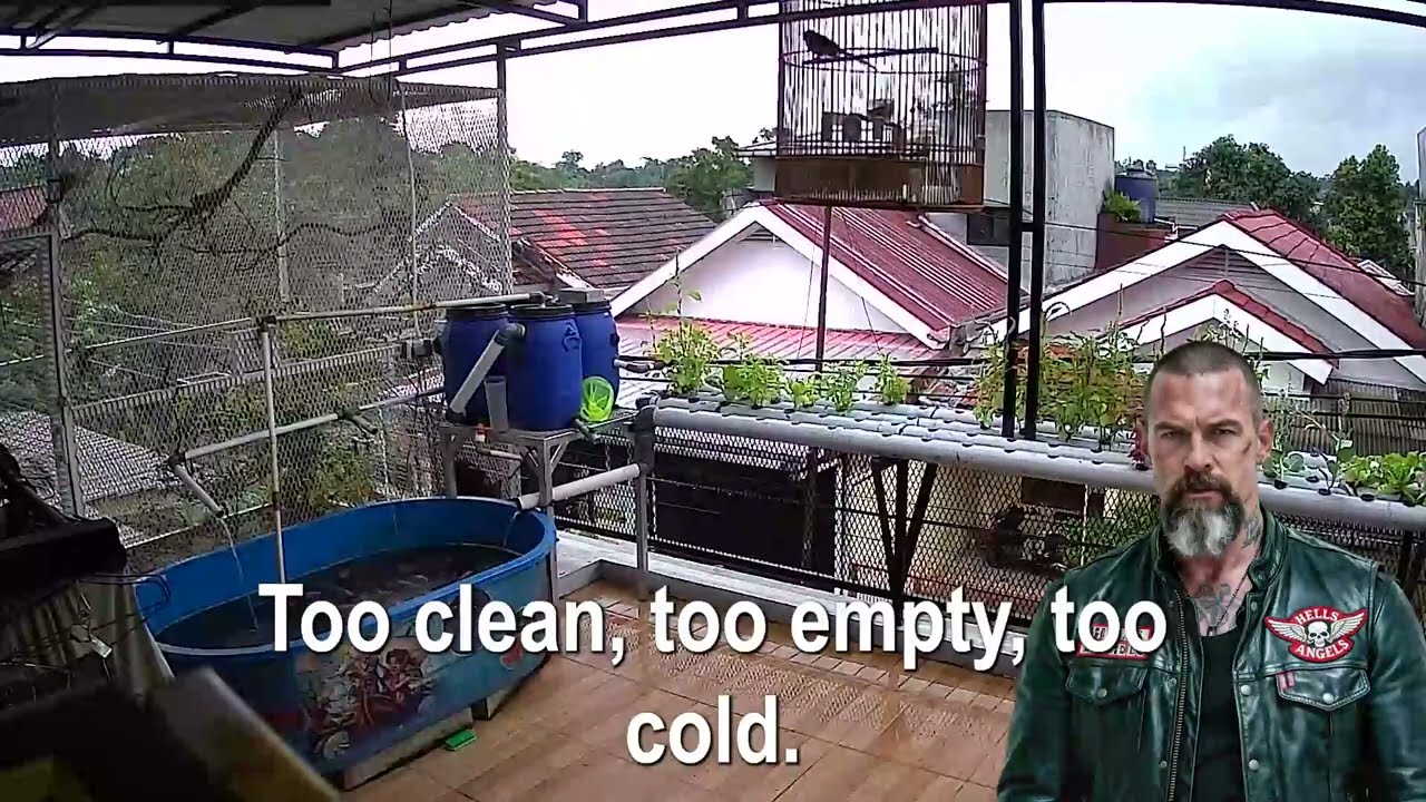 Hells Angel Saves little Girl— Loses His World unware she's his Only Daughter