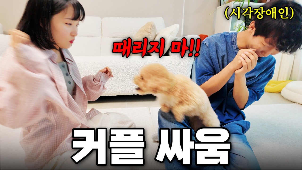 토리 앞에서 여자친구랑 싸웠더니... 천재견이 보인 충격적인 행동