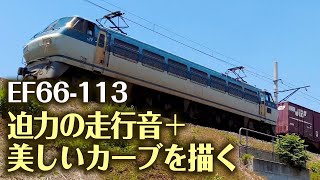 EF66 100番台と貨物列車の迫力のジョイント音＋ゆるやかに描く美しいカーブ　85レ EF66-116 （2022/05/29）