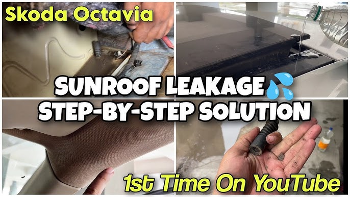 Құбыжықпен қатыгез секс видео