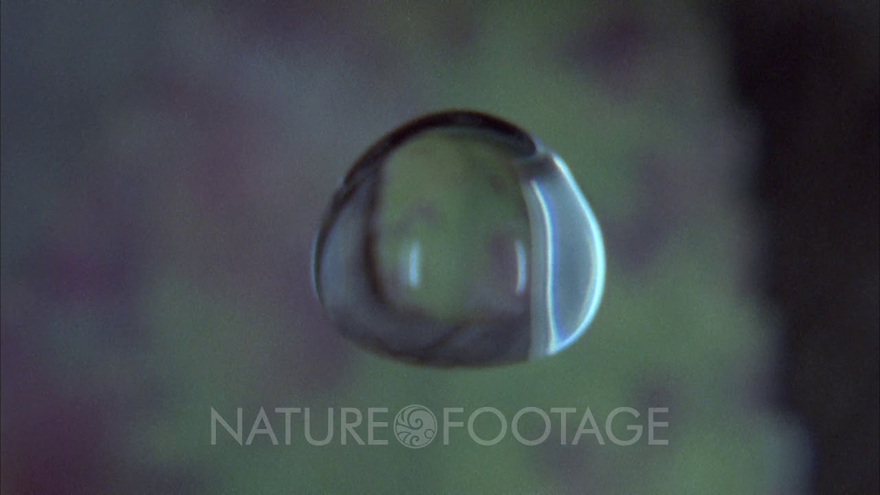 water drop falling gif