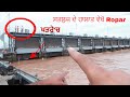 Satluj River ਸਤਲੁਜ ਦੇ ਹਾਲਾਤ ਵੇਖੋ Ropar  ਭਾਖੜਾ ਬੰਨ੍ਹ ਤੋਂ ਛੱਡਿਆ ਗਿਆ ਧਾਰਿਆ Flood ਦੇ ਖਤਰੇ 'ਚ Roper