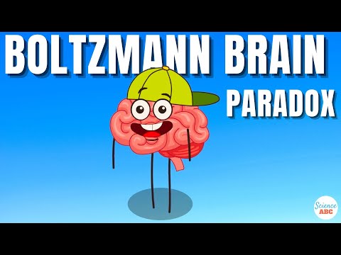 Мозговой парадокс Больцмана объясняется простыми словами