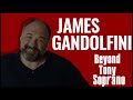James Gandolfini: Beyond Tony Soprano π¬