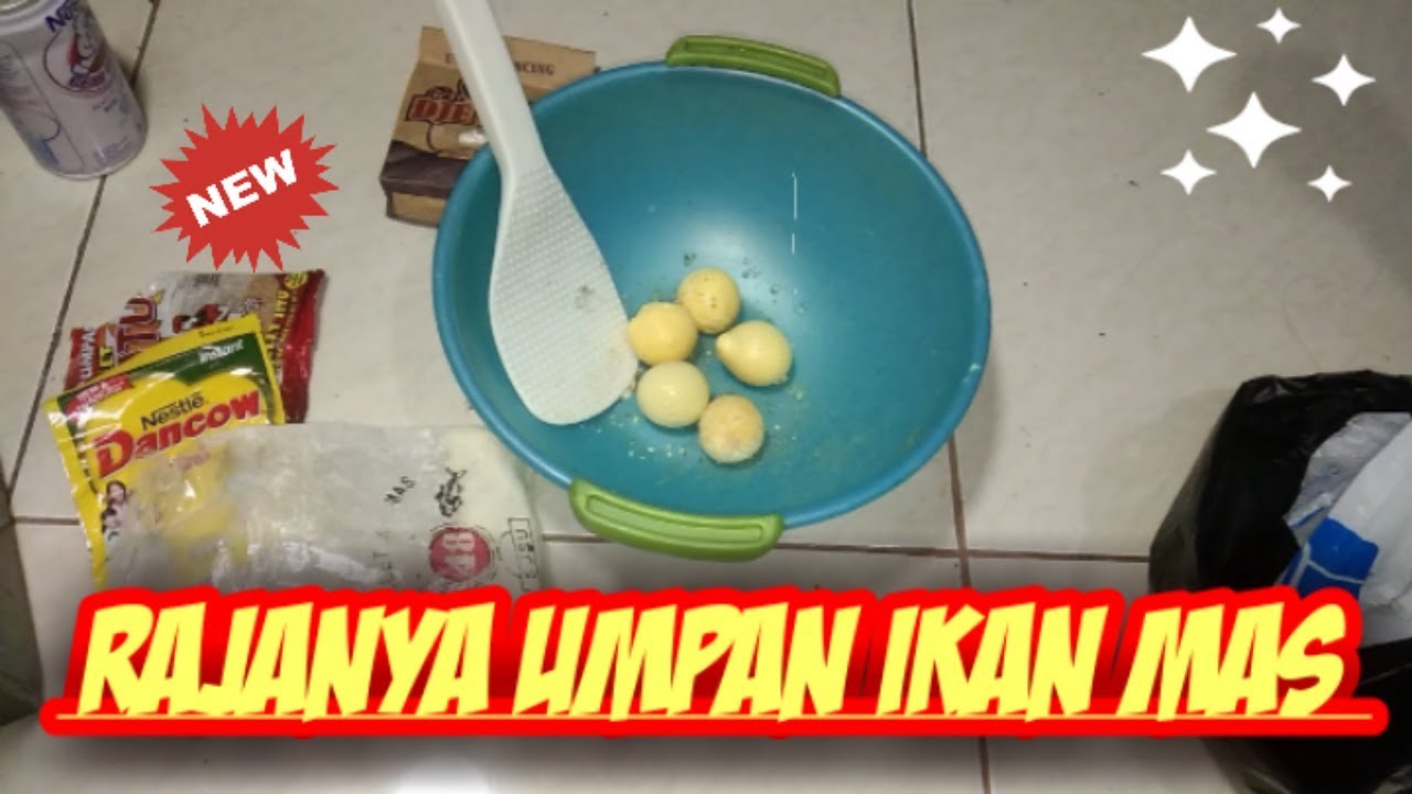 Rajanya Umpan Ikan Mas Yang Terbaik