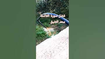 فضل سورة الفاتحة/سعد العتيق #صلوا_على_النبي #الجالية_المغربية #احاديث #دعاء #travel #electrician