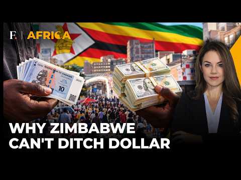Why Zimbabwe Still Prefers the US Dollar Over Gold-Backed Currency 'ZiG' | Firstpost Africa | N18G