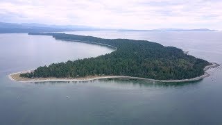 Epic Savary Island Trip 2018 (EXTENDED VERSION) by Social Puppy 4,706 views 5 years ago 11 minutes, 20 seconds
