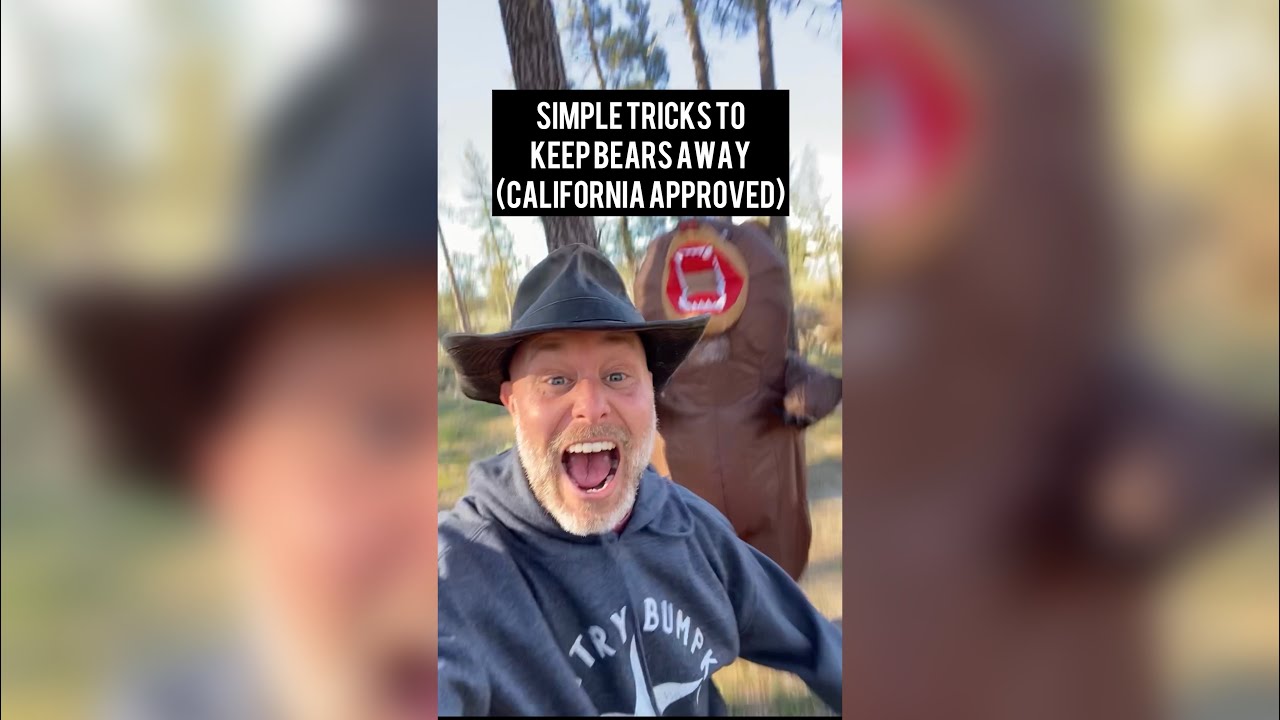Simple tricks to keep bears away (California Approved) - YouTube