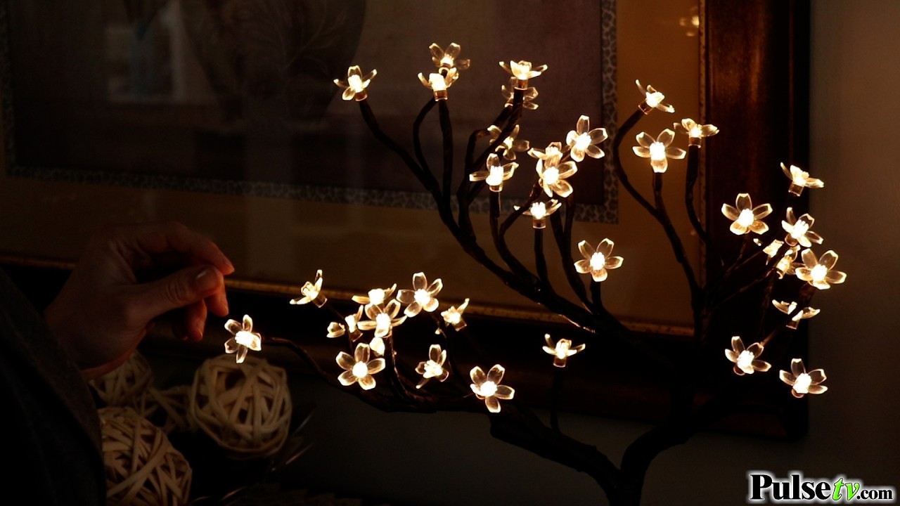 LED Bonsai Tree Lamp for Indoor & Outdoor Decor | Relaxing Visual Demo with  Music