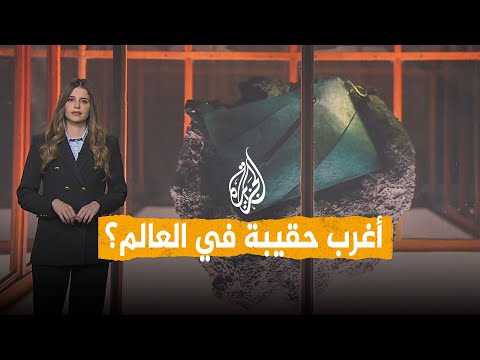 شبكات | قصة أغرب حقيبة معروضة للبيع