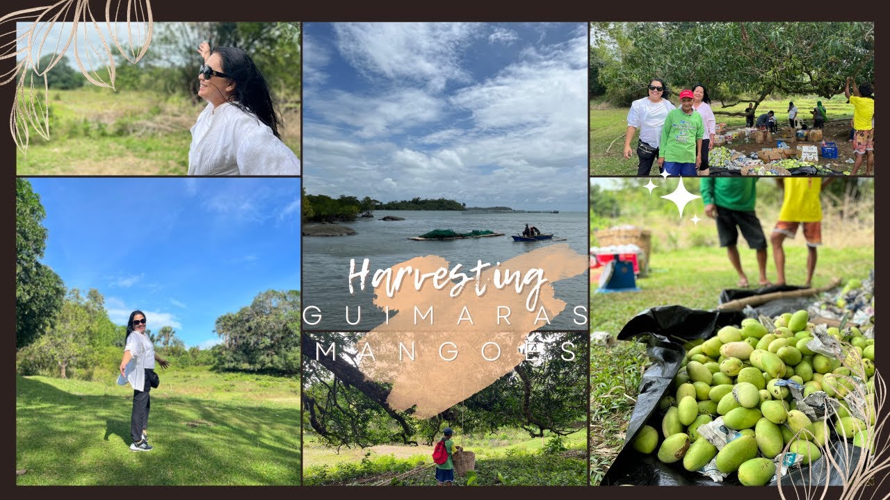 Guimaras Island Trip | Philippines Sweet Mangoes | Zanetti Travel, Cooking, and Culture