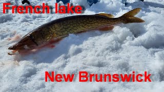 Ловля щуки в Нью Брансуик, Канада, 2023. French Lake. 130 км от Монктона.